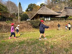 種まきの様子