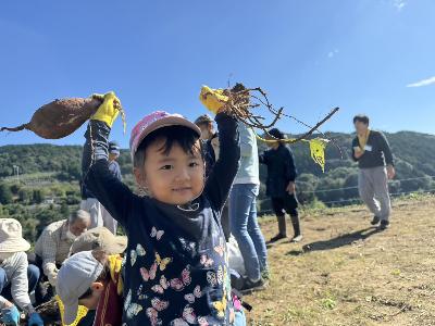 ふるさとわらべ館特別イベントの画像です。