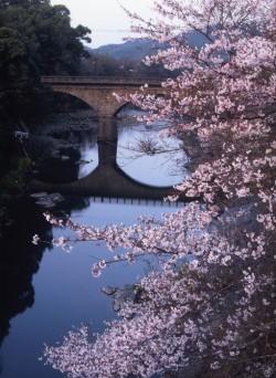 桜と寄口橋