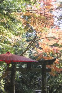 （写真）八女津媛神社2