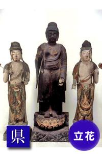 (写真)木造薬師如来立像