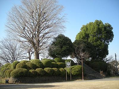 （写真）福島城跡