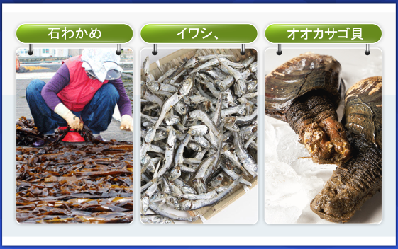石わかめ