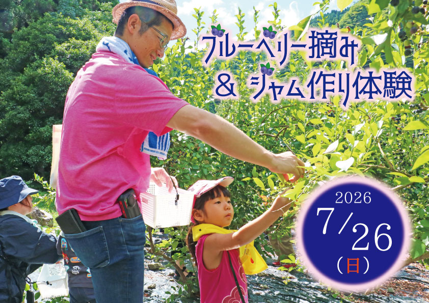 ブルーベリー摘みイベント