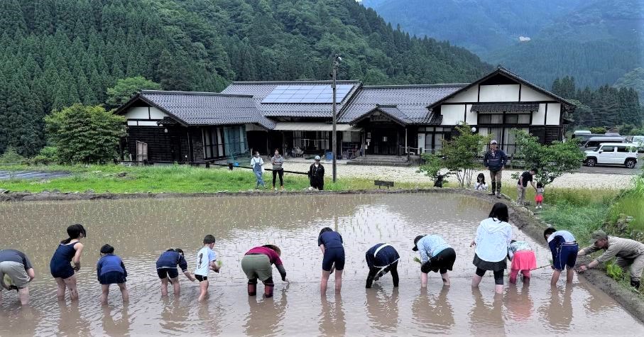 田植え
