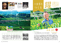 八女茶をつくるー八女茶発祥600年
