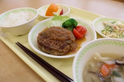 トレーの上にご飯、だご汁、メインのハンバーグ、小鉢、果物がそれぞれ器の上に盛り付けられている昼食の写真