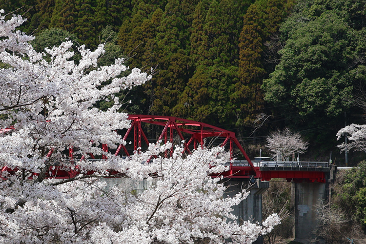 八女市ホームページTOP画像