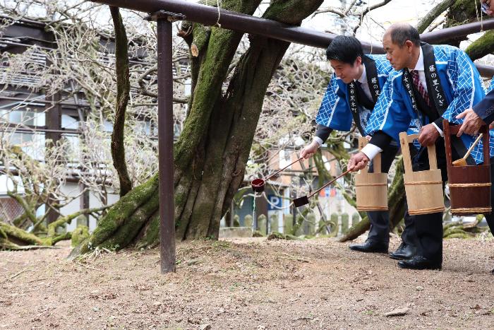 フジの根元に神酒をそそぐ市長