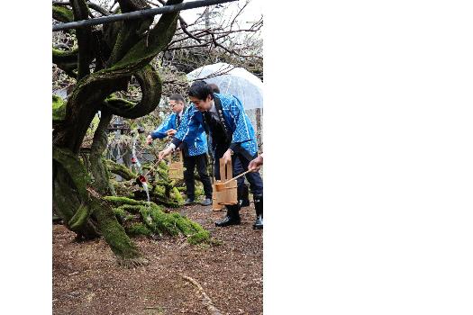藤の花神酒召せの式典の様子