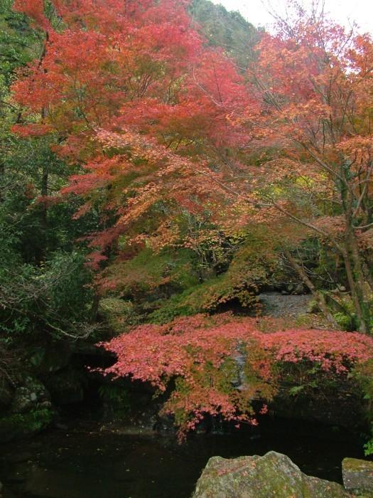 山中渓谷公園