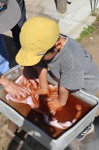 5月のふるさとわらべ館体験メニューの画像です