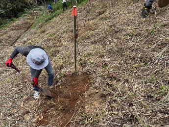 ボランティア植林