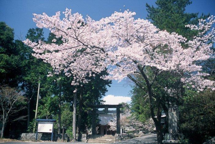 池の山麻生神社の境内の写真