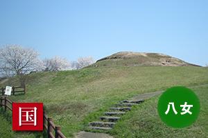 大きな山のような形をし、周辺に満開の桜の木が植えられている丸山塚古墳の写真