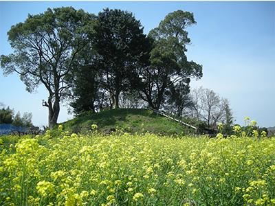 （写真）釘崎古墳群（くぎさき）