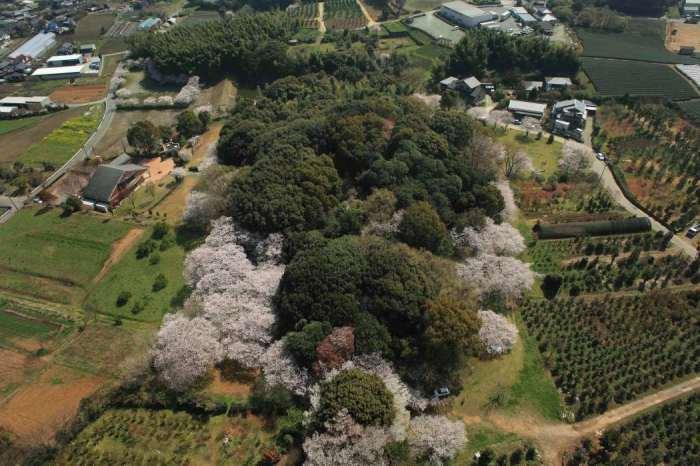 周辺には民家が点在し田畑に囲まれている、樹木に覆われ春には桜の花の満開が見られる石人山古墳を上空から撮影した写真