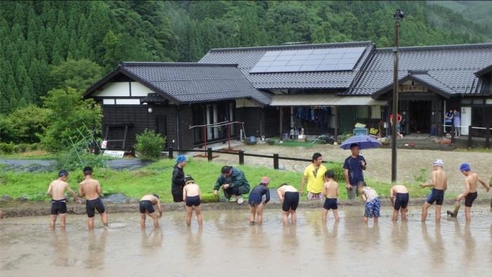 のどかな山の麓に建つ平屋建ての家の前の田んぼで、子供たちが水着を着用して横一列になって田植えを行っている写真