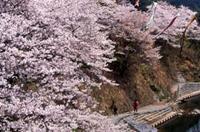 （写真）北川内公園