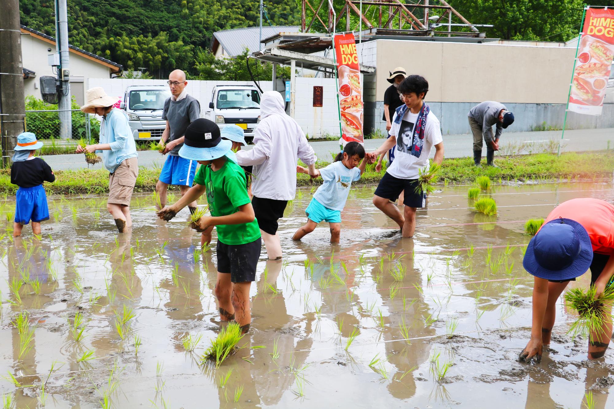 田植えイベント