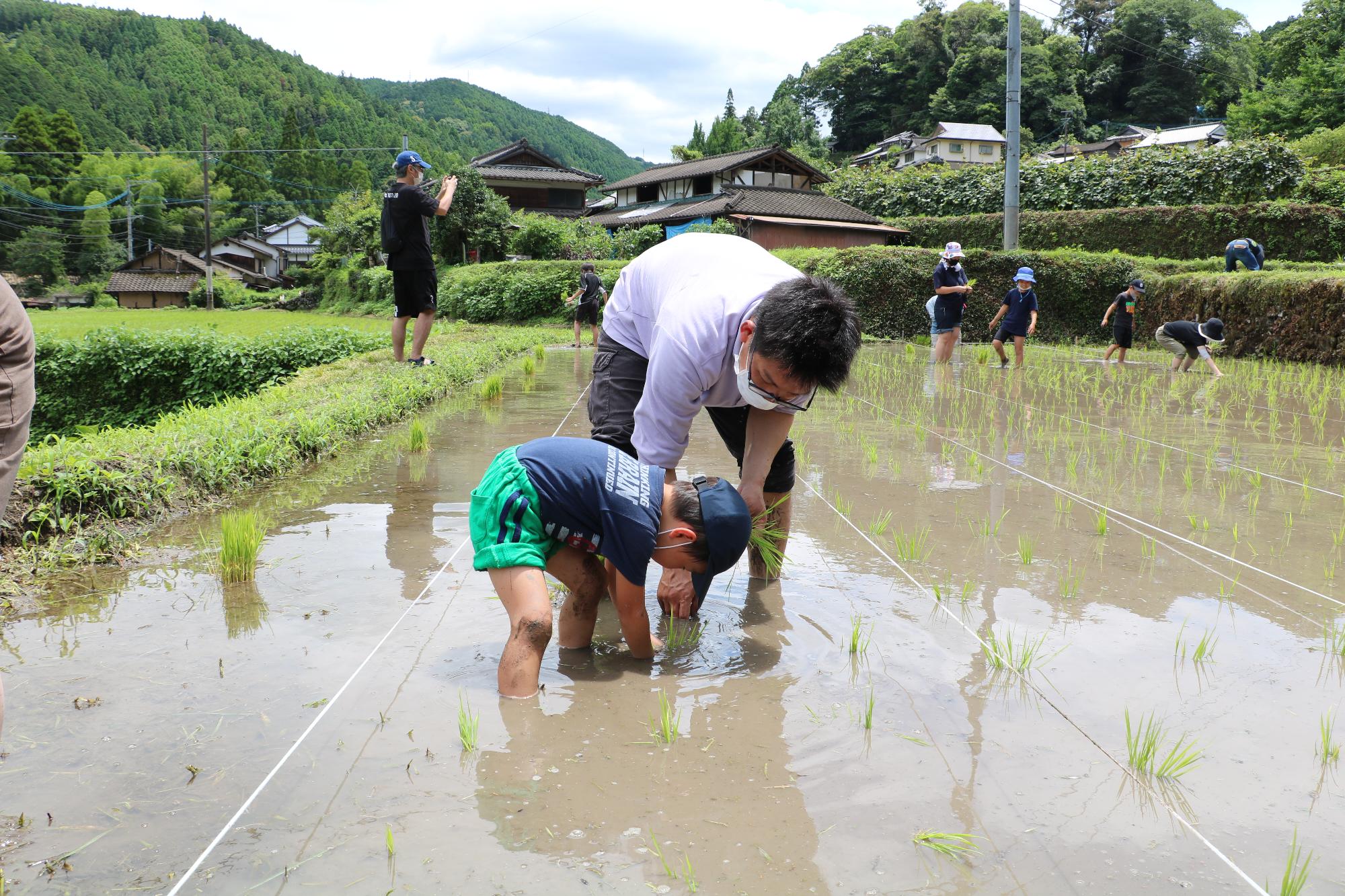 田植え