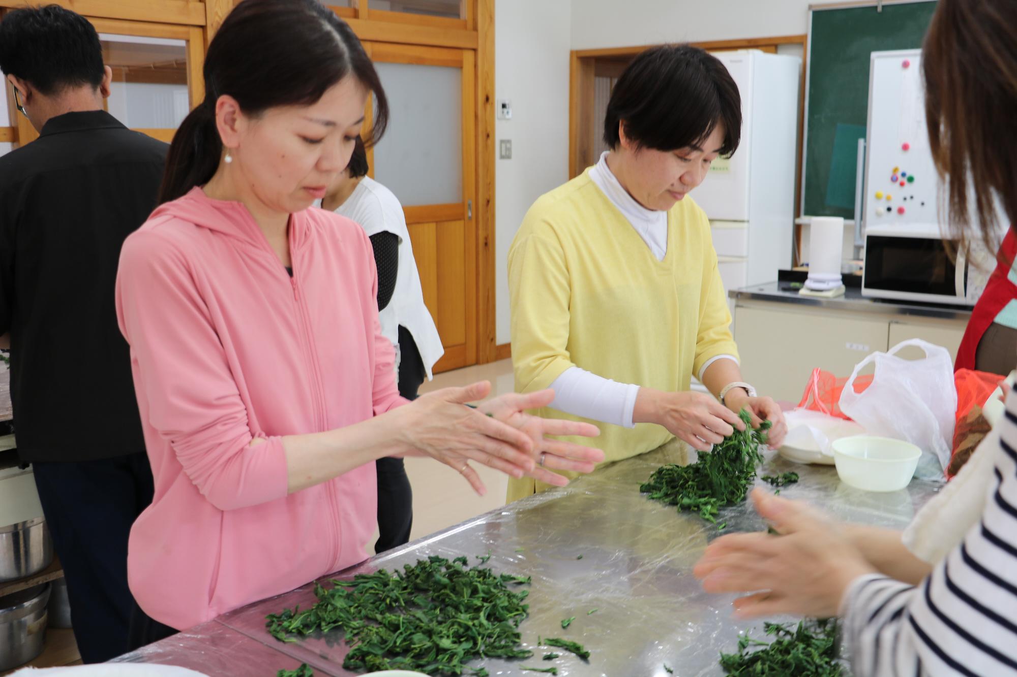 お茶摘み体験6