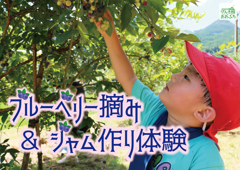 ブルーベリー摘みイベント
