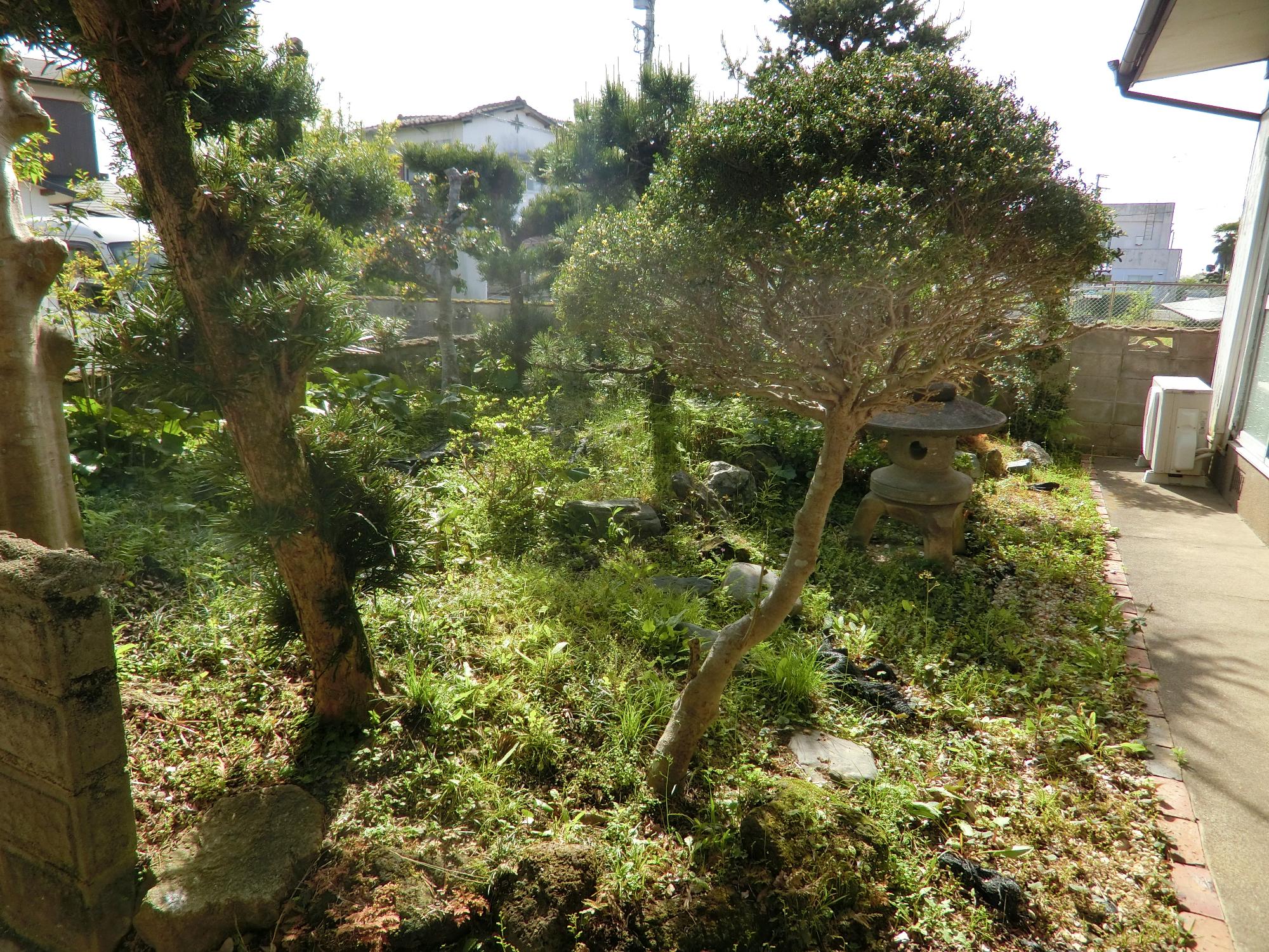 庭(南西側)