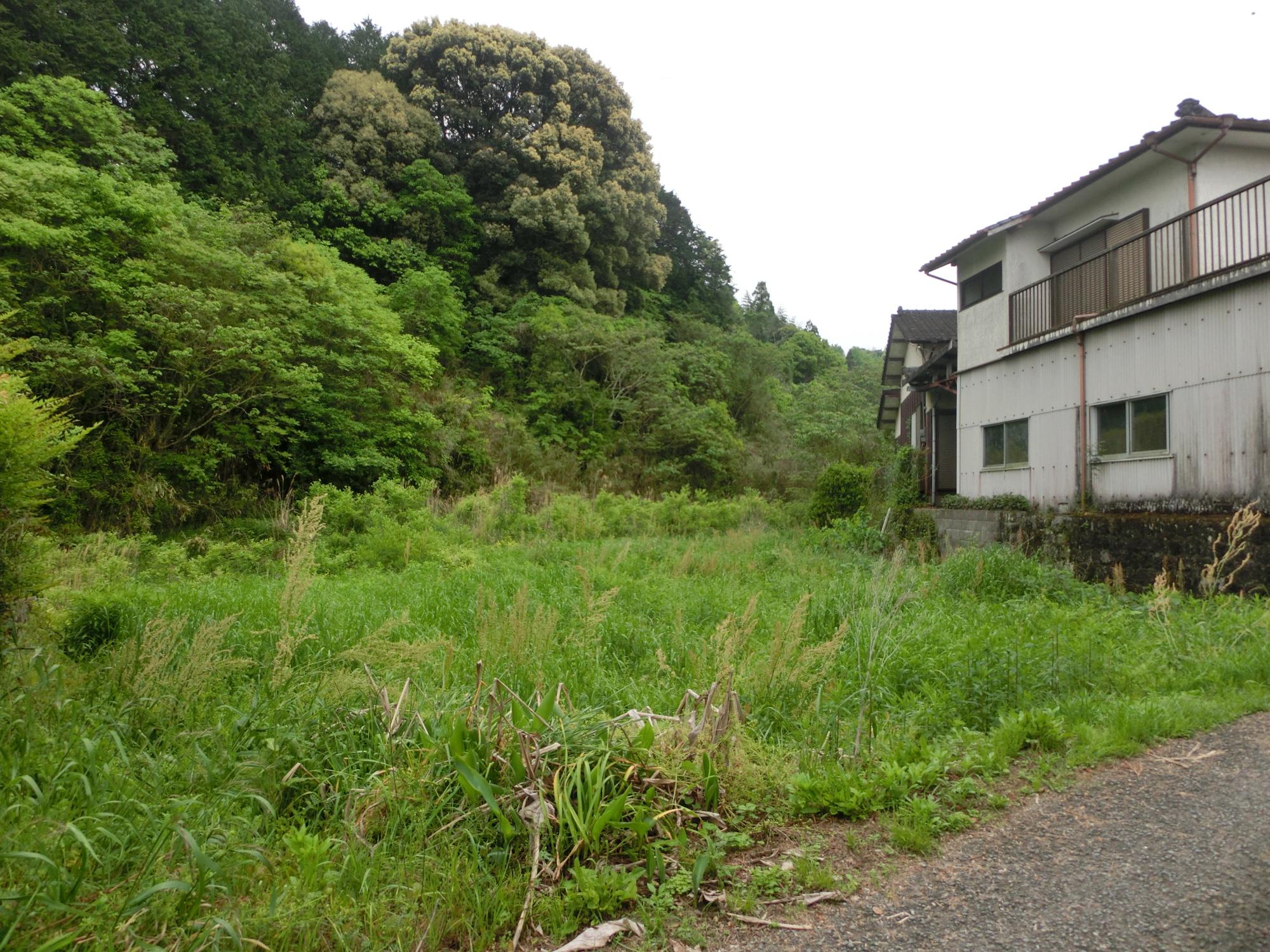 農地
