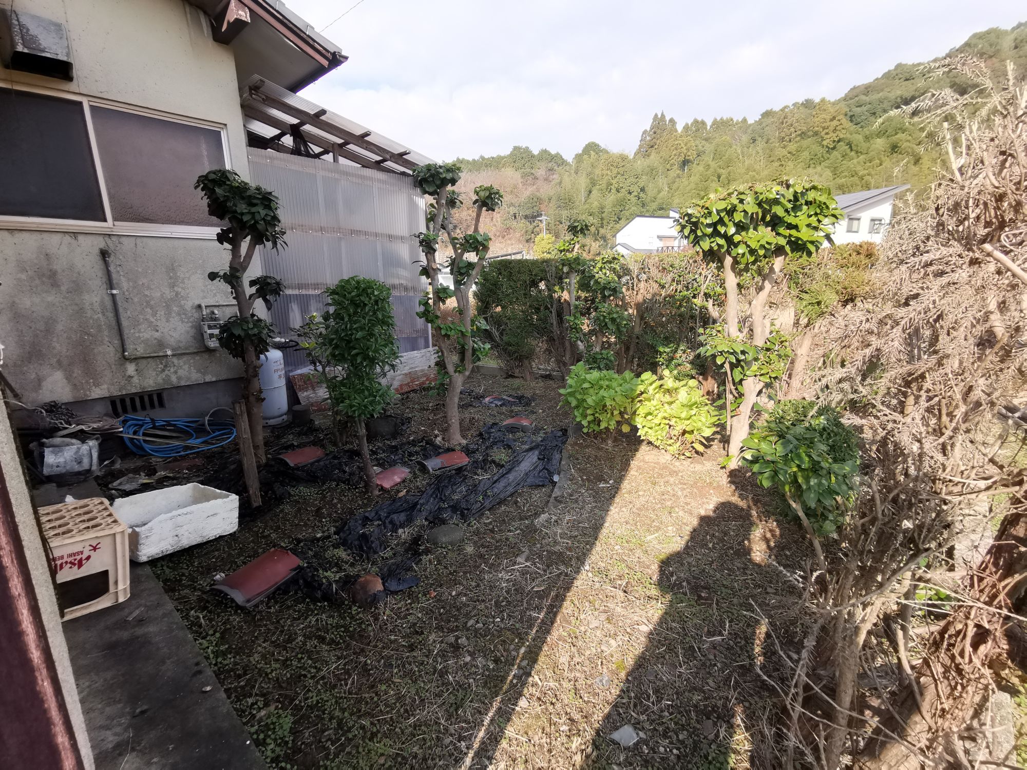 敷地内