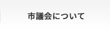 市議会について